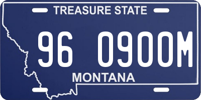 MT license plate 960900M