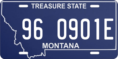 MT license plate 960901E