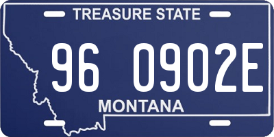MT license plate 960902E