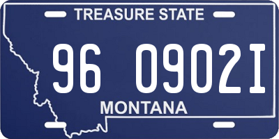 MT license plate 960902I