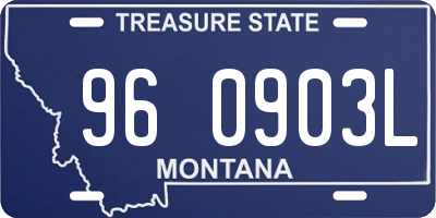 MT license plate 960903L