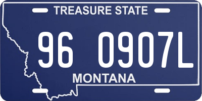 MT license plate 960907L