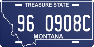 MT license plate 960908C