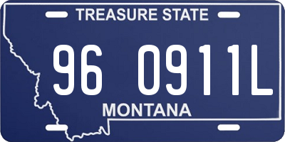 MT license plate 960911L