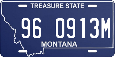 MT license plate 960913M