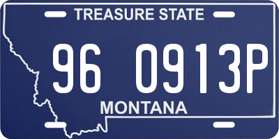 MT license plate 960913P
