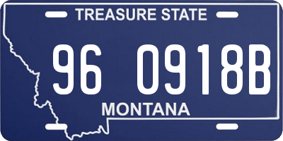 MT license plate 960918B