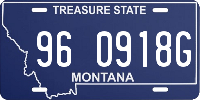 MT license plate 960918G