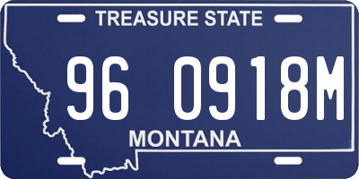MT license plate 960918M