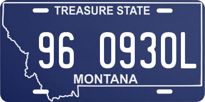 MT license plate 960930L