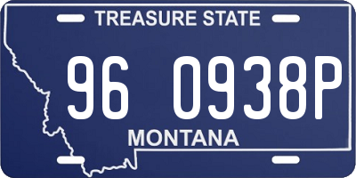MT license plate 960938P