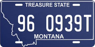MT license plate 960939T