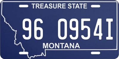 MT license plate 960954I