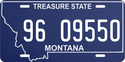 MT license plate 960955O