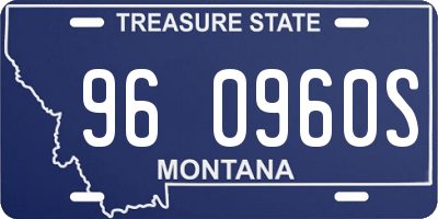 MT license plate 960960S