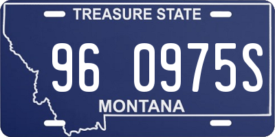 MT license plate 960975S
