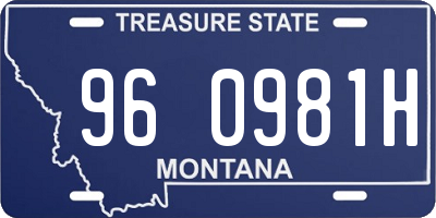 MT license plate 960981H
