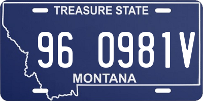 MT license plate 960981V