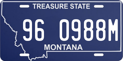 MT license plate 960988M