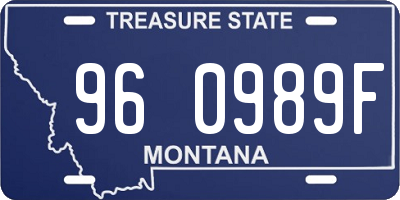 MT license plate 960989F