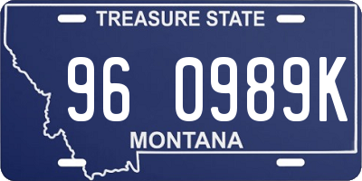 MT license plate 960989K