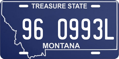 MT license plate 960993L