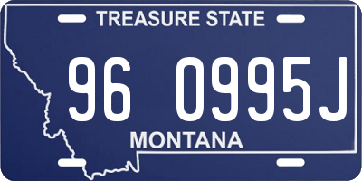 MT license plate 960995J