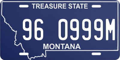 MT license plate 960999M