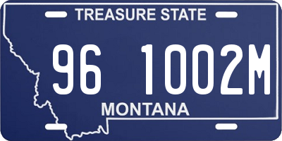 MT license plate 961002M