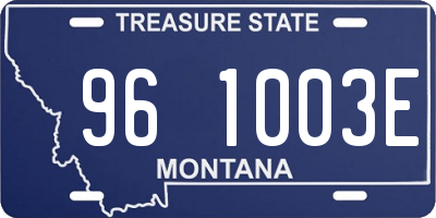 MT license plate 961003E