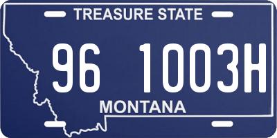 MT license plate 961003H