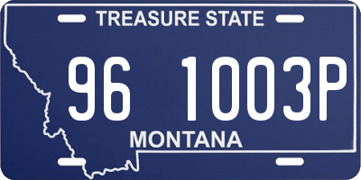 MT license plate 961003P