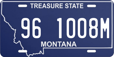 MT license plate 961008M