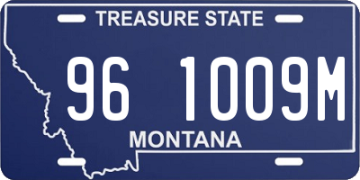 MT license plate 961009M
