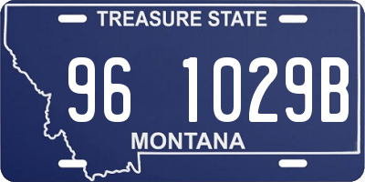 MT license plate 961029B