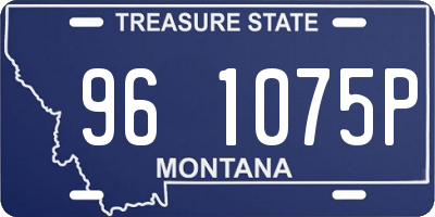 MT license plate 961075P