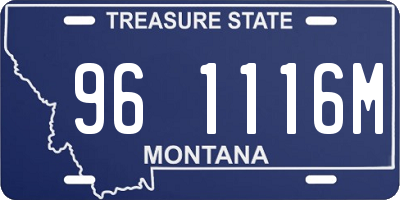 MT license plate 961116M