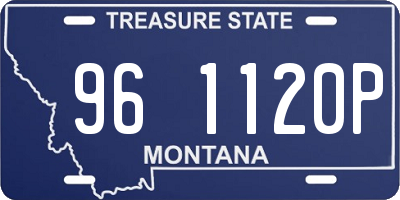 MT license plate 961120P