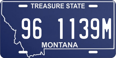MT license plate 961139M