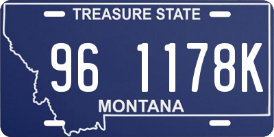 MT license plate 961178K