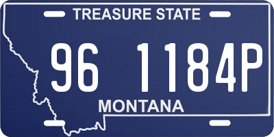 MT license plate 961184P