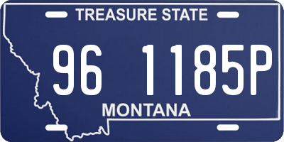 MT license plate 961185P