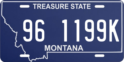 MT license plate 961199K