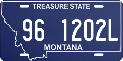 MT license plate 961202L