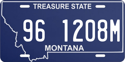 MT license plate 961208M