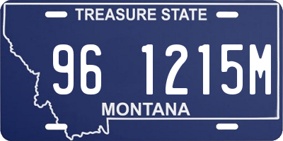 MT license plate 961215M
