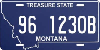 MT license plate 961230B