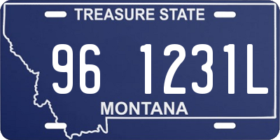 MT license plate 961231L