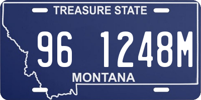 MT license plate 961248M