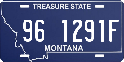 MT license plate 961291F